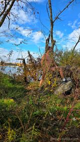 Миниатюра Мужчина Алексей  Центр Фотография 