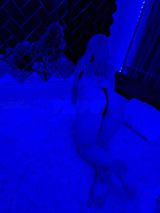 Миниатюра Индивидуалка Алиночка Центр Фотография 